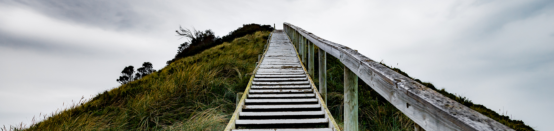 VL_VPP_EPI_Stairs_Hero_1920x455_25803.jpg